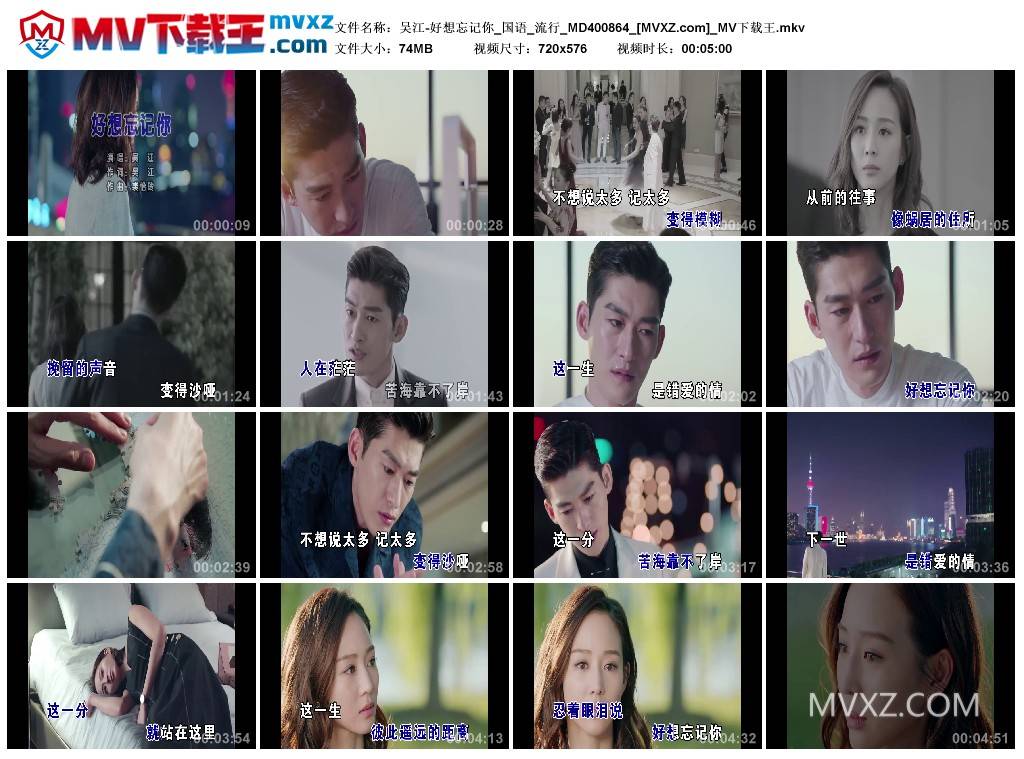 吴江-好想忘记你_国语_流行_MD400864